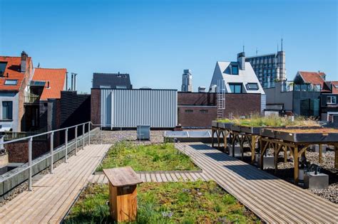 The blue green roof - helping cities cope with stormwater