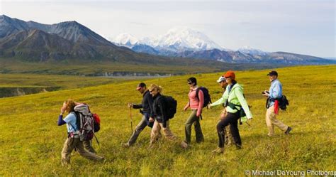 Camp Denali Wilderness Lodge | Denali National Park