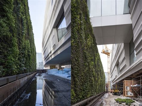 Nation’s largest green wall of native plants breathes life into SFMOMA ...