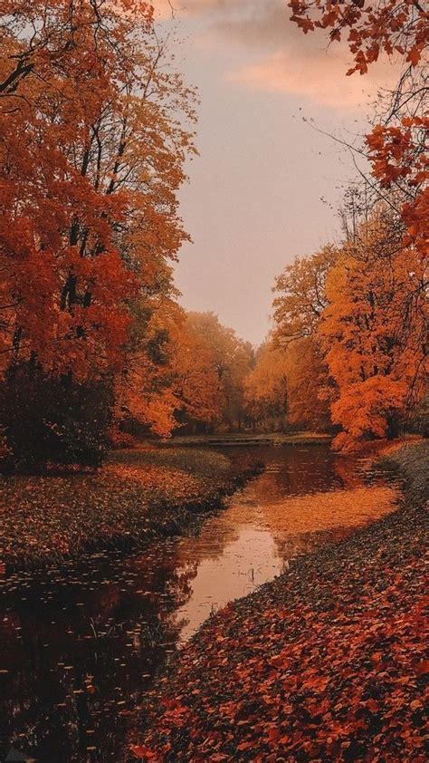 40+ Free Amazing Fall Wallpaper Backgrounds For iPhone | Autumn scenery ...