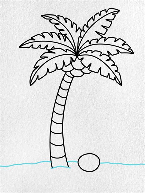 Easy Coconut Tree Drawing - HelloArtsy