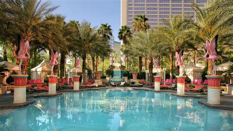 Flamingo Pools - Las Vegas