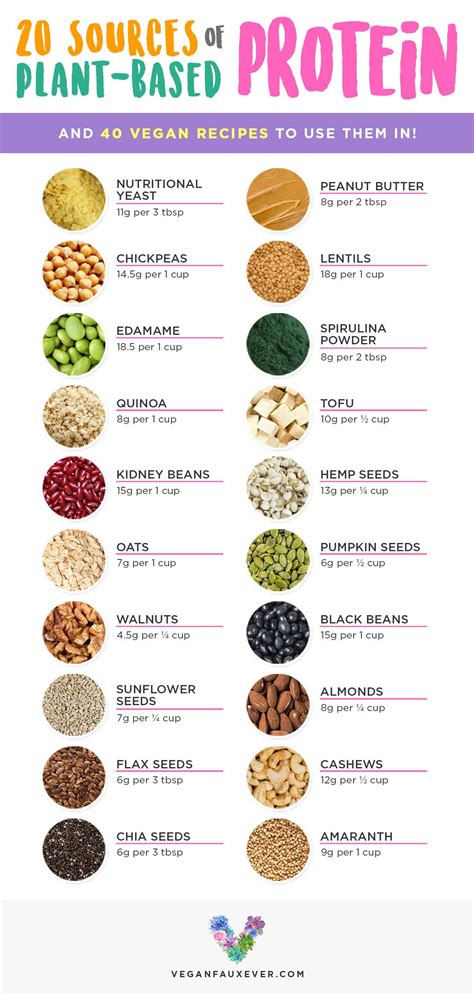 25 best vegan protein sources for plant based diets – Artofit