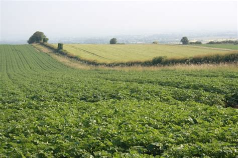 Arable Farming, Slingsby Bank © Mick Garratt cc-by-sa/2.0 :: Geograph Britain and Ireland