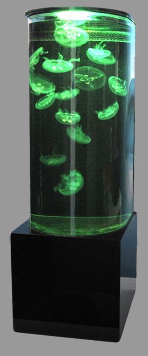 Moon Jellyfish - Jellyfish Tanks for Sale - Eon Jellyfish Aquarium ...