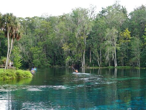 Fun Things To Do In Ocala, Florida - Buddy The Traveling Monkey