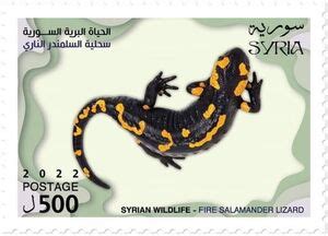 Stamp: Fire Salamander (Salamandra salamandra) (Syria(Wildlife of Syria (2022)) Yt:SY 1768