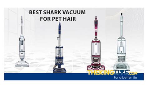 Top 4 Best Shark Vacuum For Pet Hair In This Year