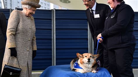 Queen Elizabeth and Her Royal Corgis: A Look at the Inseparable Bond ...