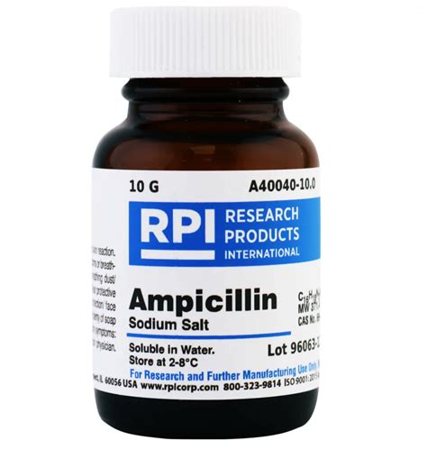 Ampicillin: The Power of its Bacteriostatic and Bactericidal Effects