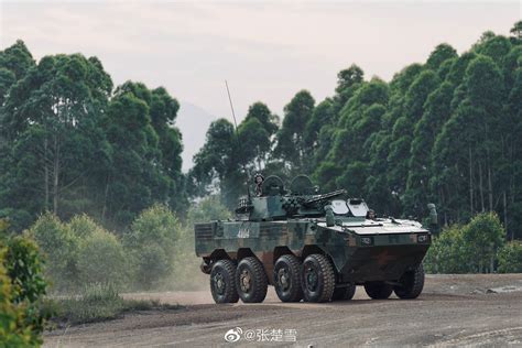 Jesus Roman on Twitter: "2/3 🇨🇳PLA ZBL-08 IFV (Type 08) vehicle & dismounted squad training ...