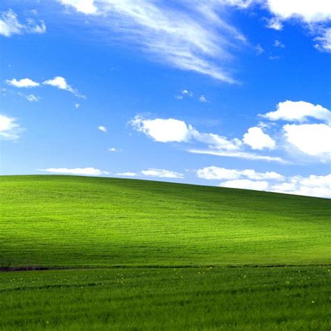 Windows XP Wallpaper Hill in California Didn’t Catch Fire