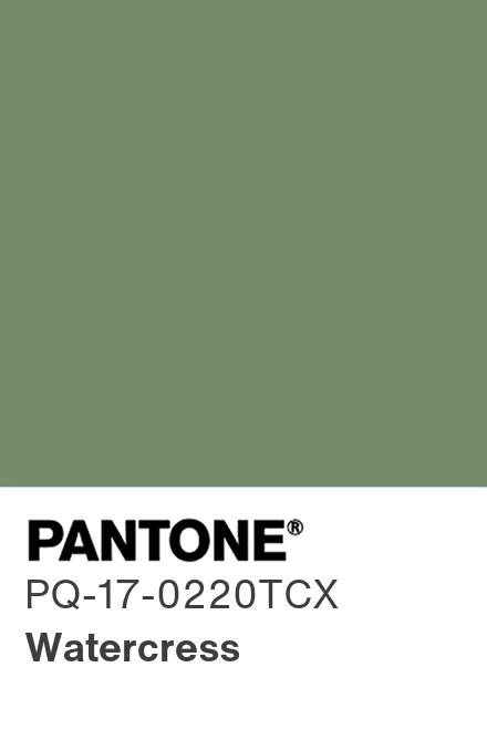 PANTONE® Deutschland | PANTONE® PQ-17-0220TCX - Find a Pantone Color | Quick Online Color Tool