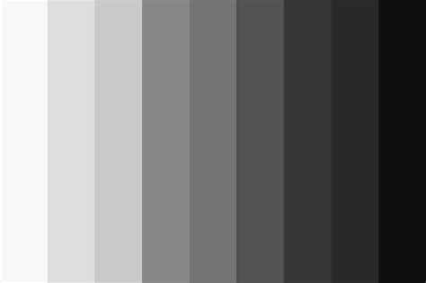 Gray Color Scheme for Tailwind CSS • VIARAMI