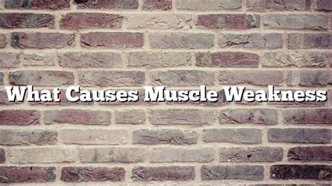 What causes muscle weakness - ON THE WEB TODAY