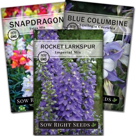 Hummingbird Seed Collection for Planting - Wildflowers for Pollinators ...