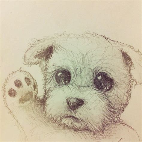 Cute Puppy Drawing at GetDrawings | Free download