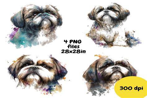 Shih Tzu Watercolor Set Graphic by FeeFiFo Studio · Creative Fabrica