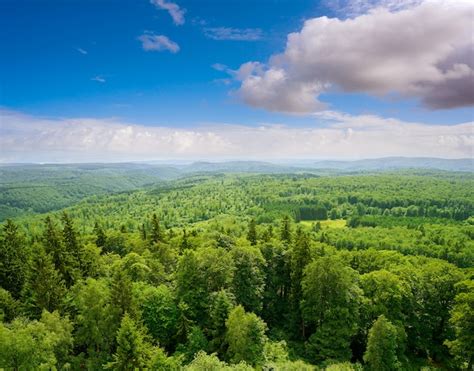 Premium Photo | Harz mountains aerial view germany