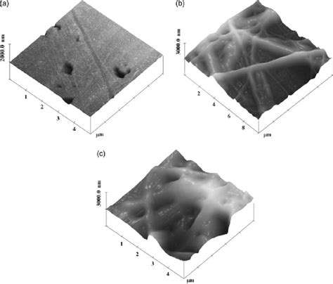 AFM images of copper in 3% NaCl solution after two-hour immersion (a);... | Download Scientific ...