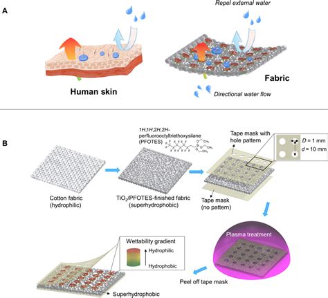 “Skin-like” fabric for personal moisture management | United States International Supply Chain ...