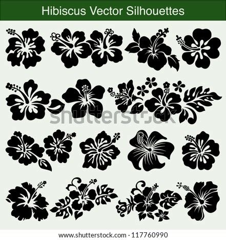 Hand Drawn Hibiscus Flower Vector | 123Freevectors