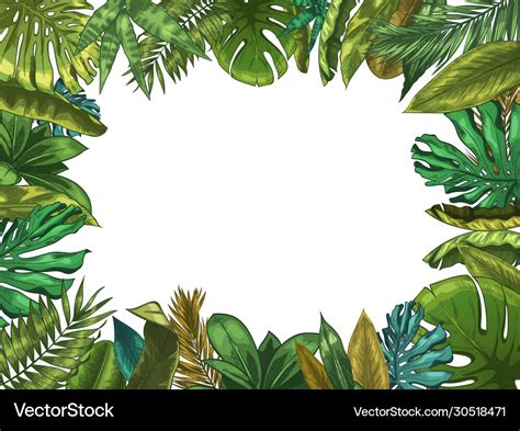 Green tropical leaves frame nature leaf border Vector Image