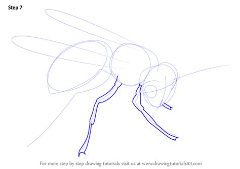 How To Draw A Hornet Step By Step at Drawing Tutorials