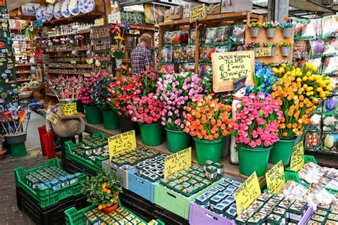 PHOTO: Bloemenmarkt Flower Market in Amsterdam