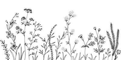 Flower Line Drawing Vector Art, Icons, and Graphics for Free Download