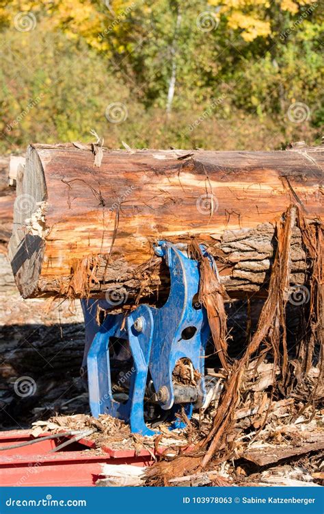 Powerful, Blue Wood Splitting Tool Stock Image - Image of trunk, split ...