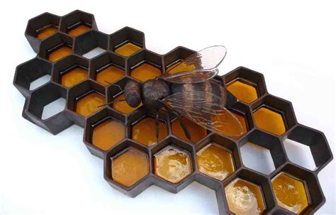 Copper Honey Bee and Honeycomb Wall Sculpture - Artist, Sculptor ...