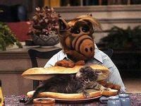 27 Alf! ideas | alf, childhood memories, old tv shows