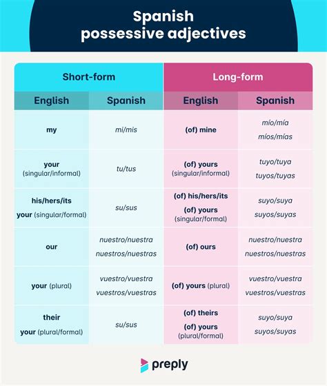 How to Use Spanish Possessive Adjectives? (Chart & Examples)