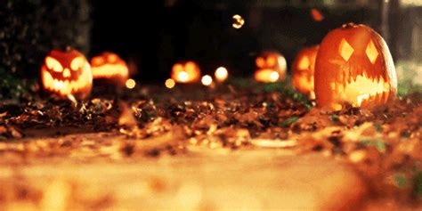 Halloween Pumpkin GIF - Find & Share on GIPHY