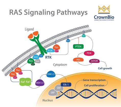 RAS: Targeting the Impossible