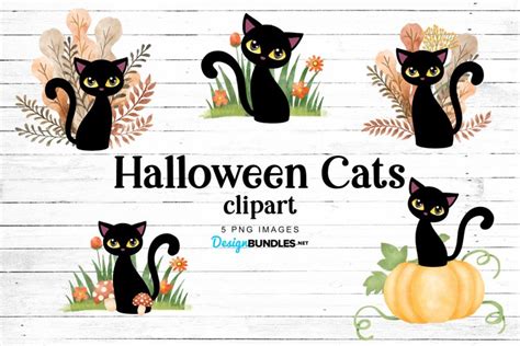 Halloween Cat Illustrations in Watercolor- 5 PNG Files