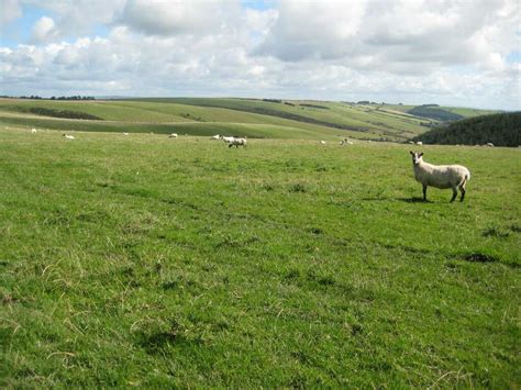 Buying Grazing land For Sale - UK Grazing Land Sale or Rent