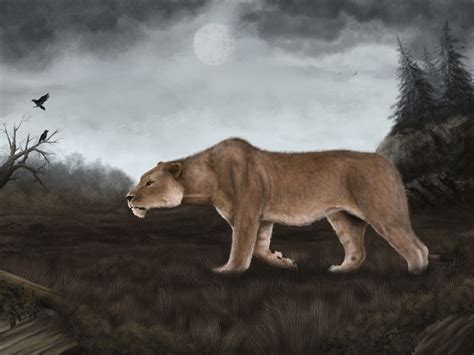 Cave lion by Mihin89 on DeviantArt