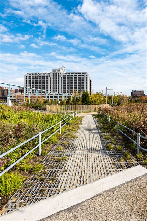 Brooklyn Bridge Park - Pier 6 — FIELD CONDITION