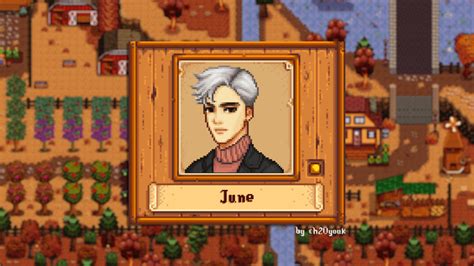 The Most Interesting Stardew Valley Custom NPCs Mod — 15 Options to ...