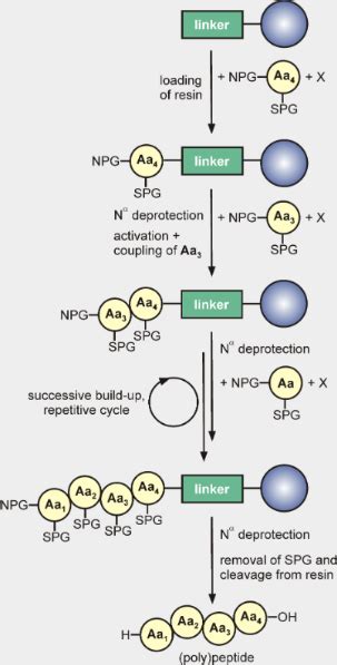 Automated solid-phase peptide synthesis to obtain therapeutic peptides