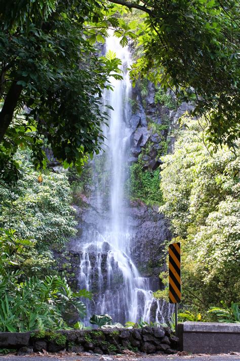 50 Hikes for 2015: Hike #11 - Waimea Falls - Oahu, HI