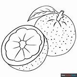 Orange Coloring Page  Easy Drawing Guides sketch template