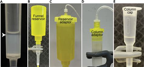 Images of the column apparatus used for protein purification (A) The ...