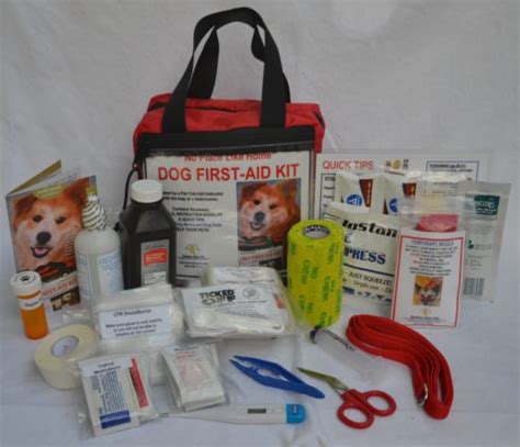 Dog CPR: This Step-By-Step Guide Could Save Your Pup’s Life!