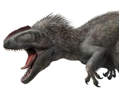 Species New to Science: [Paleontology • 2012] Yutyrannus huali 'feathered tyrant' • A gigantic ...