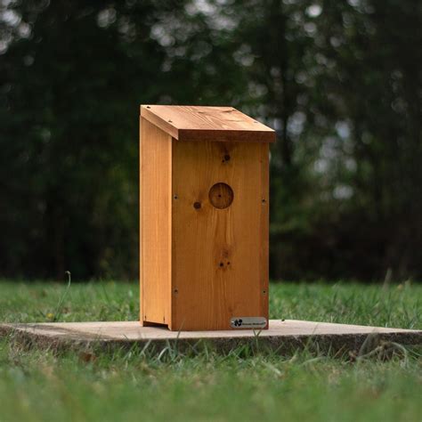 Riverside Woodcraft Woodpecker Nest Box – RiversideWoodcraft