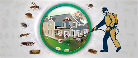 Commercial Pest Guide | Houston Pest Control | CyCreek PC