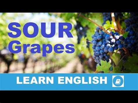 Sour Grapes - English Idiom - YouTube